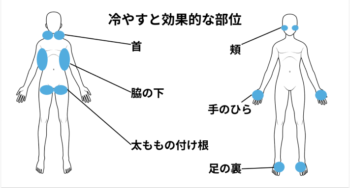 冷却の場所_画像